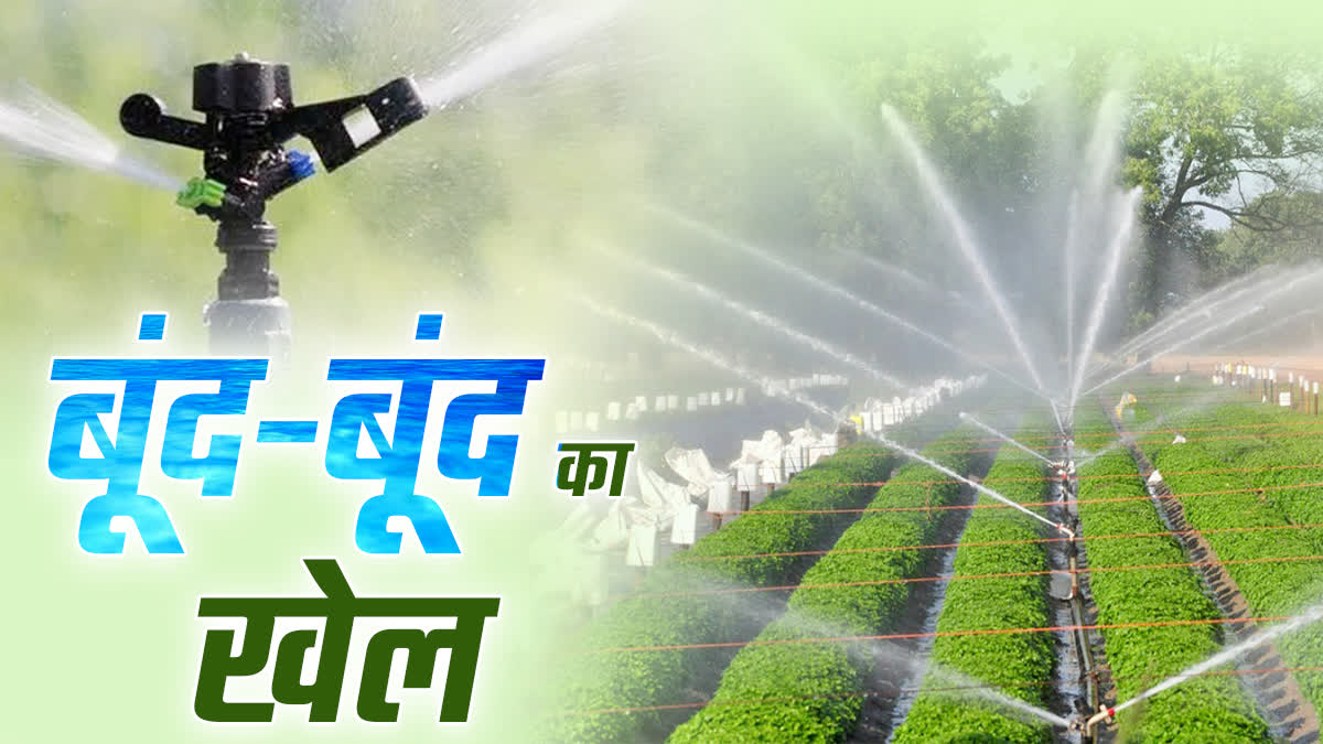 SHAHDOL DRIP IRRIGATION