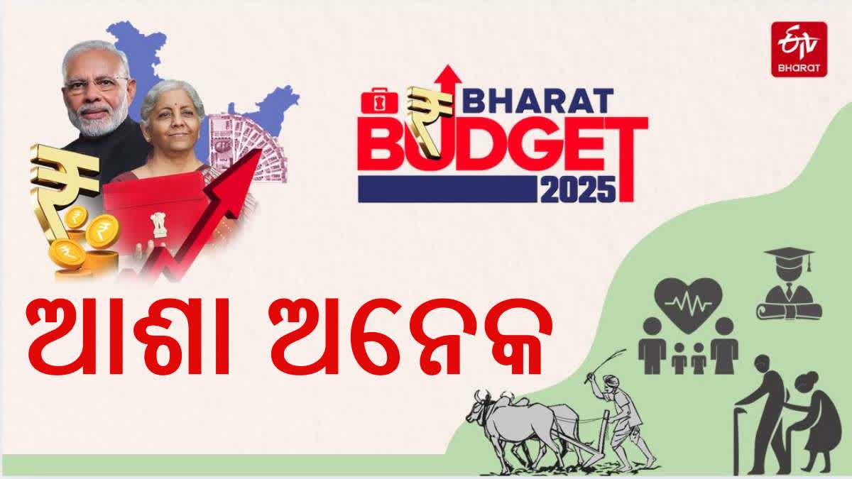 budget 2025