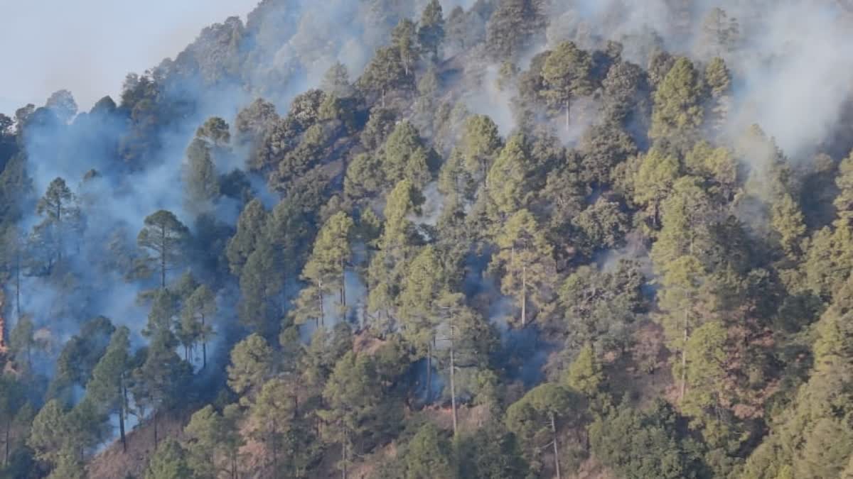 MASSIVE FIRE IN FOREST DEHRADUN