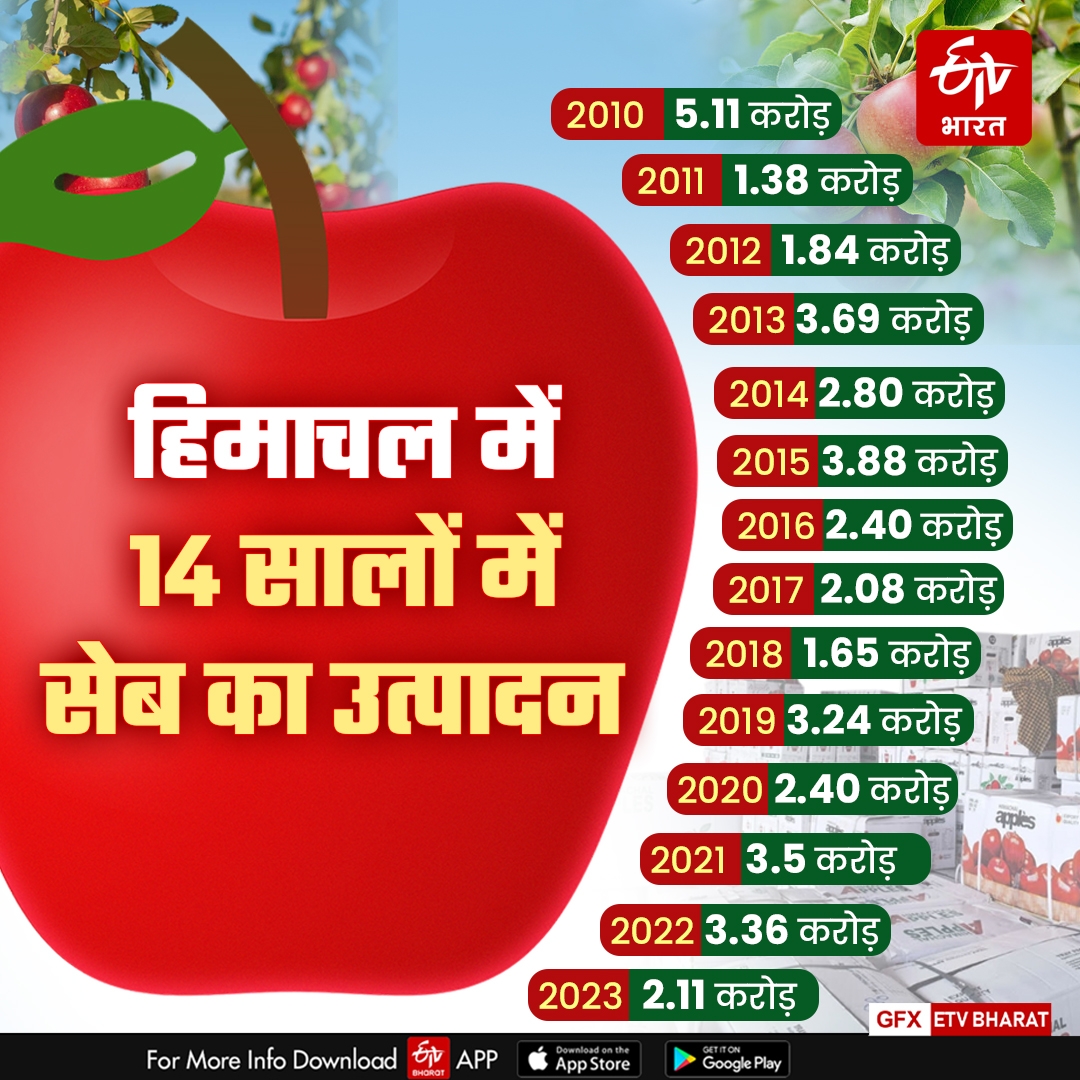 Himachal Apple Production