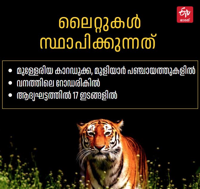 FOREST SOLAR LIGHT  ANIMALS DETERRED BY SOLAR LIGHTS  SOLAR LIGHTS KASARAGOD  വന്യ മൃഗങ്ങളെ തടയാന്‍ സോളാര്‍