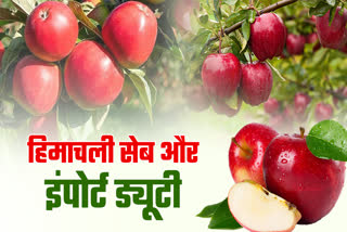 Import Duty on Himachal Apple