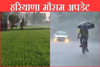 Haryana Weather Updates