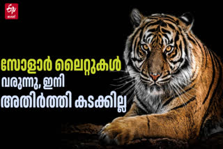 FOREST SOLAR LIGHT  ANIMALS DETERRED BY SOLAR LIGHTS  SOLAR LIGHTS KASARAGOD  വന്യ മൃഗങ്ങളെ തടയാന്‍ സോളാര്‍