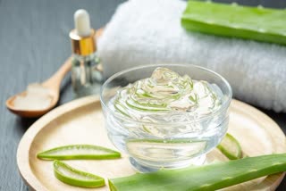 HOW TO USE ALOE VERA FOR GLOW SKIN  BENEFITS OF ALOE VERA FOR SKIN  SKIN CARE TIPS WITH ALOE VERA  Effective ways to use aloe vera