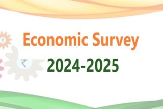 Economic Survey 25