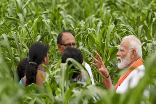 india-needs-to-develop-climate-resilient-crop-varieties-economic-survey