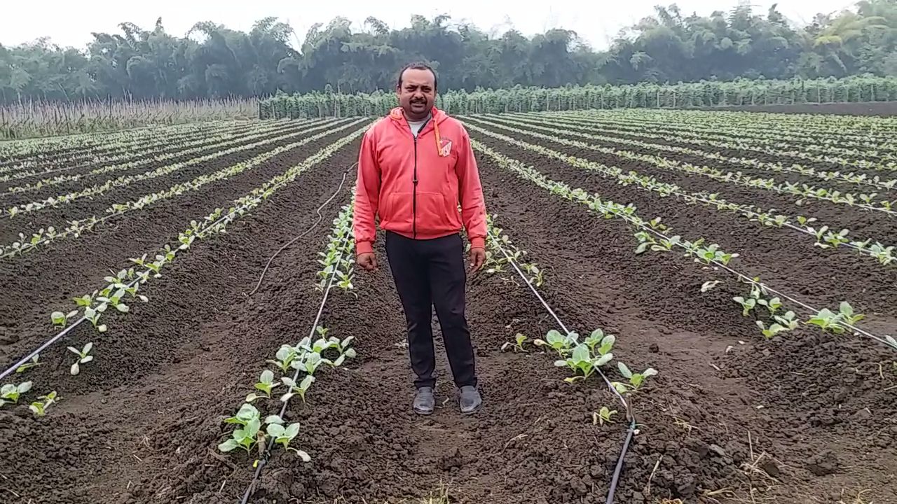 Shahdol Farmers Use Drip irrigation