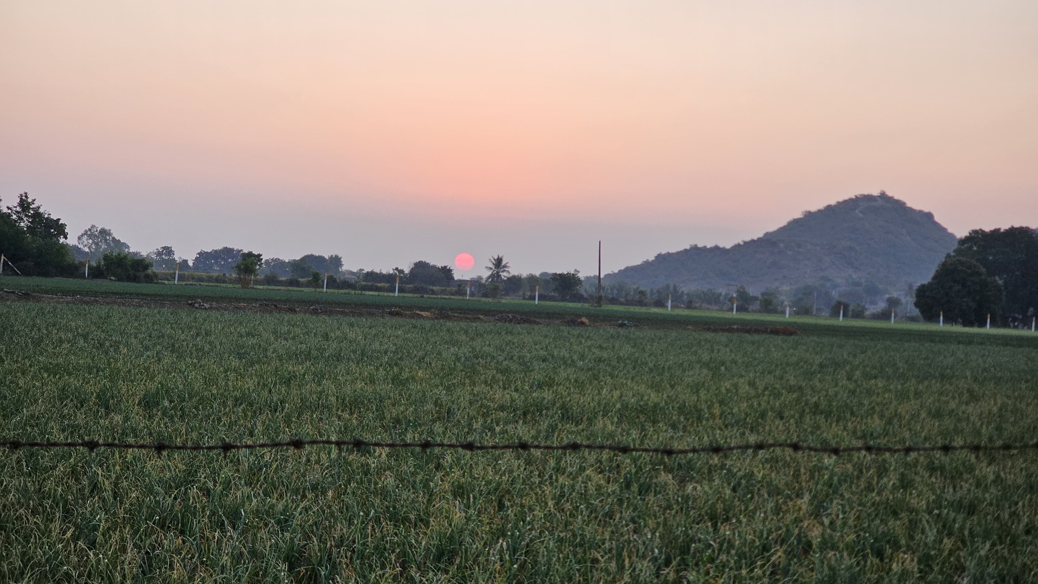 ભાવનગર જિલ્લામાં બેવડી ઋતુનો પ્રારંભ