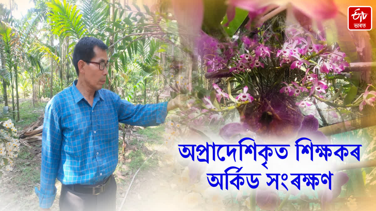 Teachers of non-provincialised schools do orchid reservation in Chirang