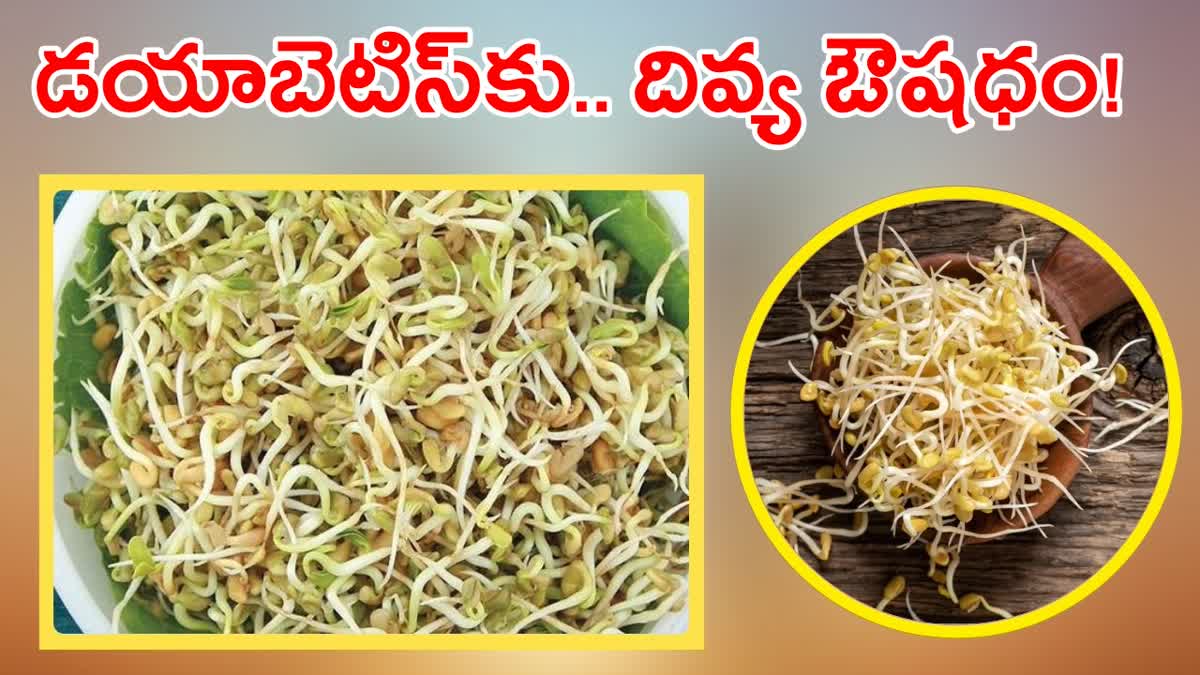 Sprouted Fenugreek Seeds