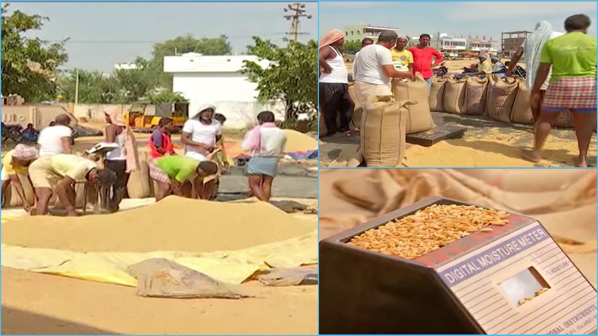 Paddy Procurement In Telangana