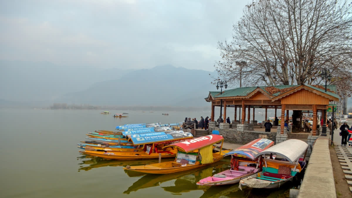 Lok Sabha Election 2024: All You Need to Know About Srinagar Constituency