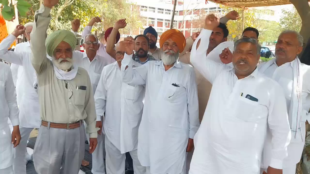 Mustard And Wheat Purchase In Haryana