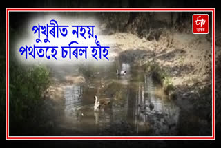 Pathetic road condition of a village in Udalguri