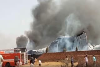 Fire Breaks Out at Mattress Factory in Haryana's Bhiwani, No Casualty Reported