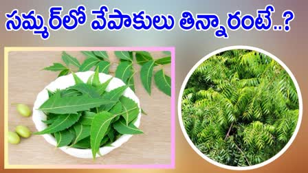 Neem Leaves Benefits