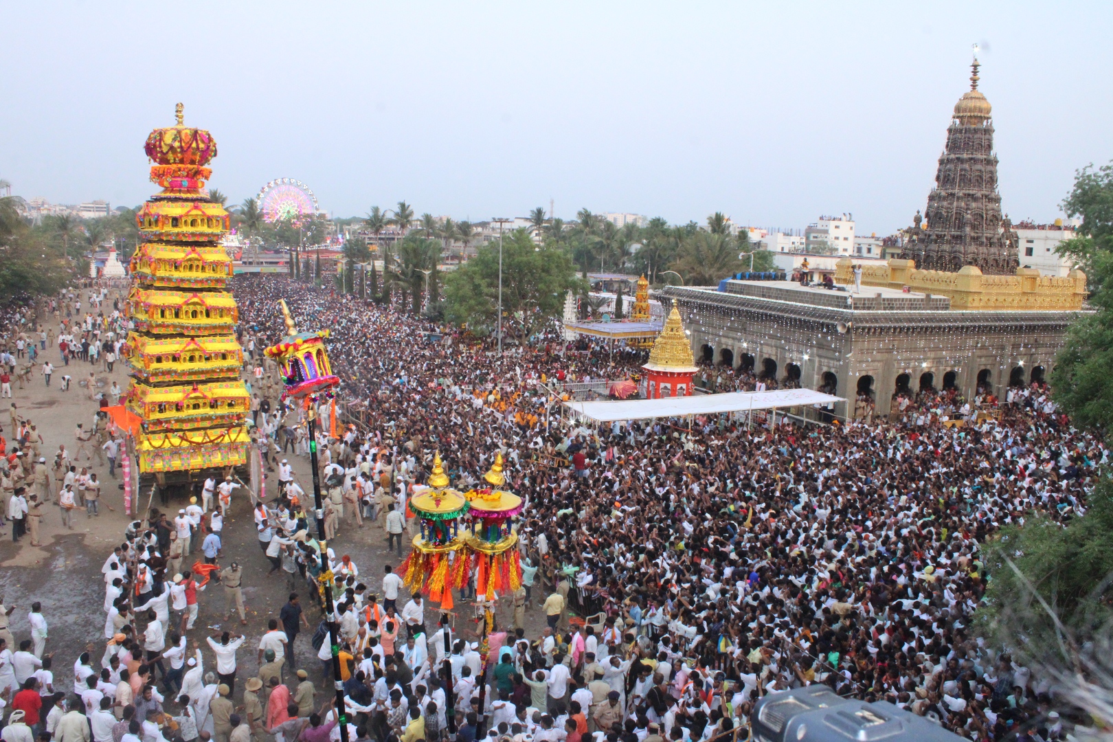 ಶರಣಬಸವೇಶ್ವರರ ವೈಭವದ ರಥೋತ್ಸವ