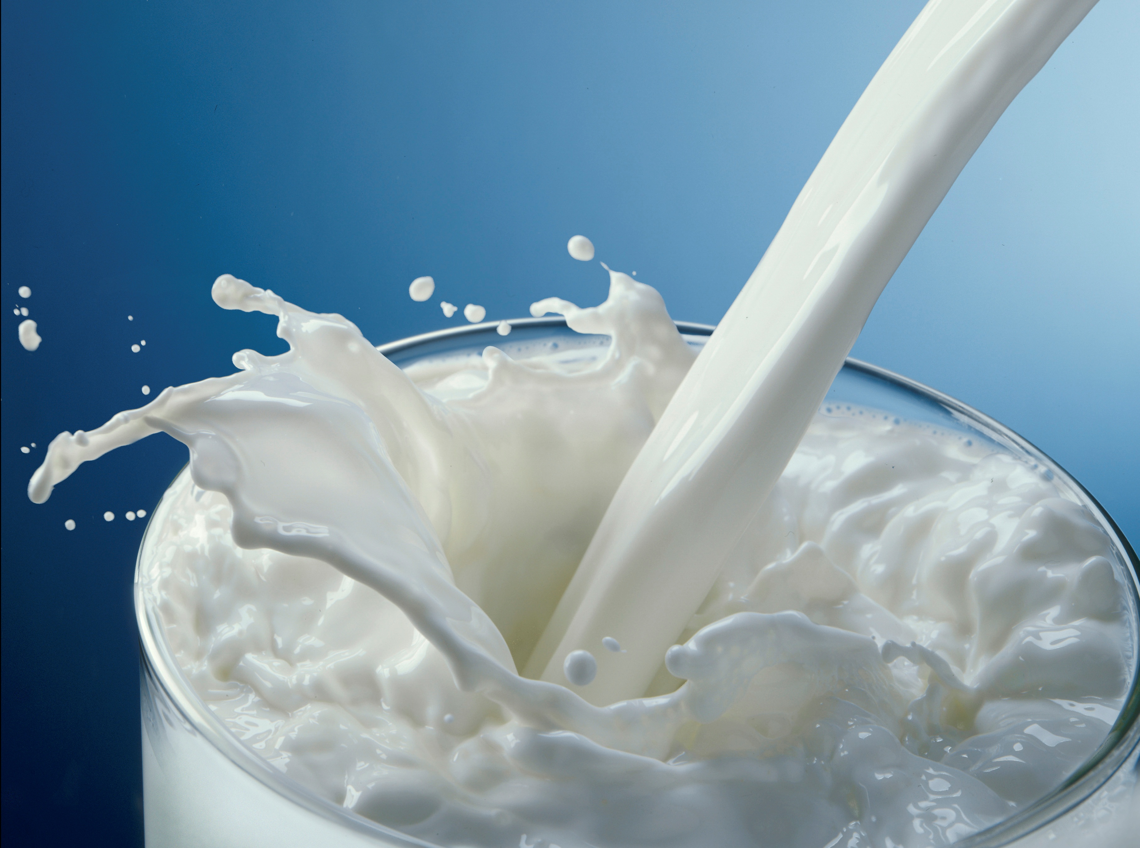 Milk