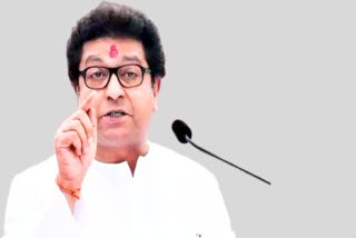 Raj Thackeray On Aurangzeb Kabar