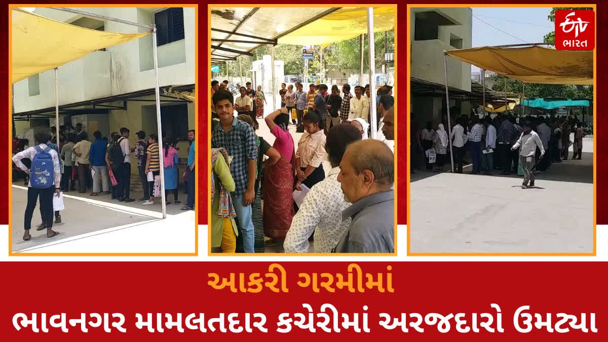 સિટી મામલતદારની કચેરીએ ભારે ભીડ