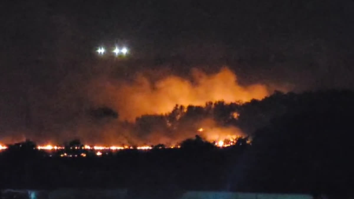 Nagpur fire at biodiversity park