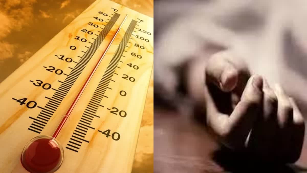 Heat Stroke In Kaimur