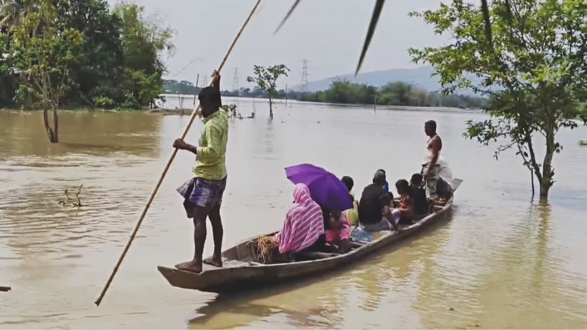 Flood in Assam