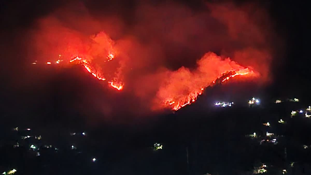 Himachal Forest Fire