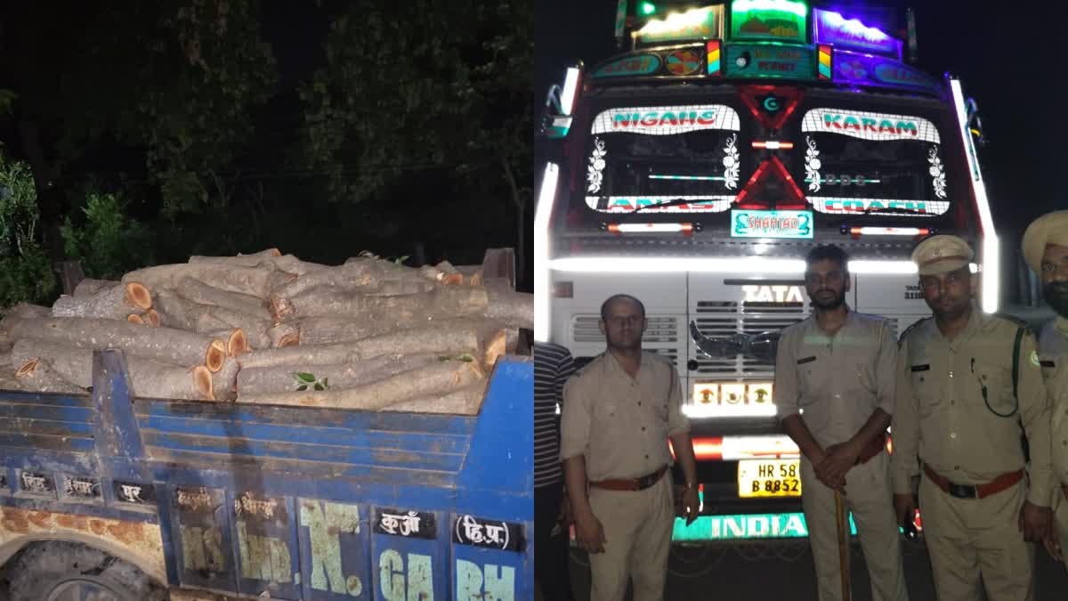 illegal mining in paonta sahib