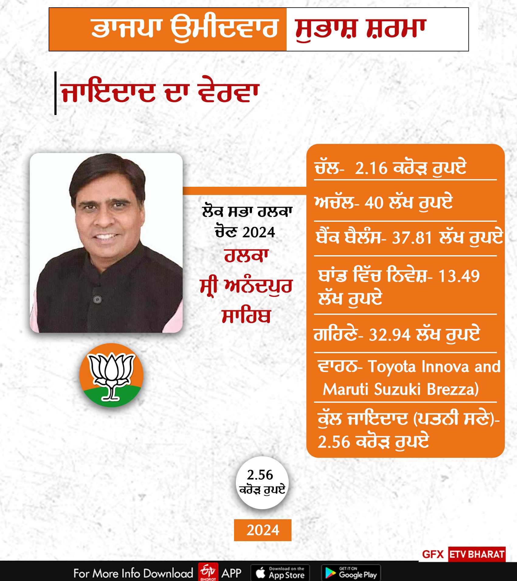 Lok Sabha Election 2024, Properties Of Candidates