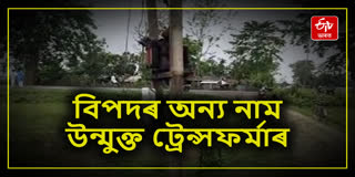 Cow electrocuted to death in open transformer in Golaghat