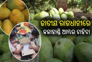 Kalahandi Mangoes Export To Delhi