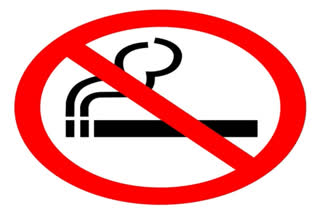 About 46.96 per cent of young adults aged 18 24 have quit tobacco in India