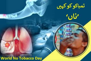 world no tobacco day 2024 tobacco along with health it also spoils the environment