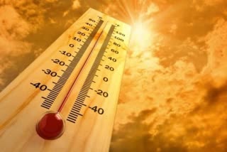 Heatwave Deaths Bihar