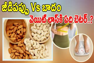 Cashew Vs Almond Which Is Healthier