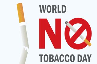 how tobacco can harm your body world no tobacco day special