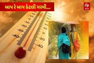 બિહારમાં આત્યંતિક હિટવેવની પરિસ્થિતિ, ગરમીના કારણે 80 લોકોના મોત