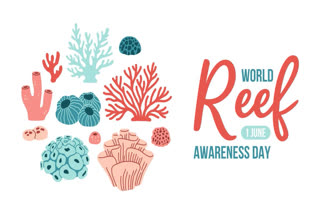 World Reef Awareness Day is celebrated on June 1 every year across the globe