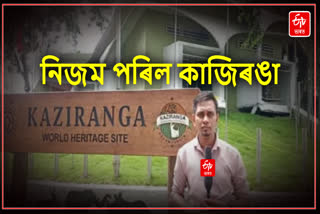 Tourism in Kaziranga Shuts Down