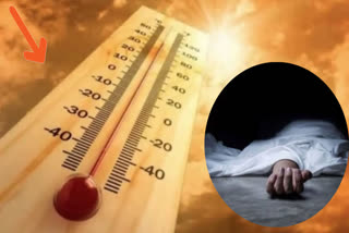 Twenty people died due to heat wave in Palamu in last forty eight hours