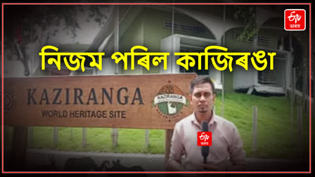 Tourism in Kaziranga Shuts Down