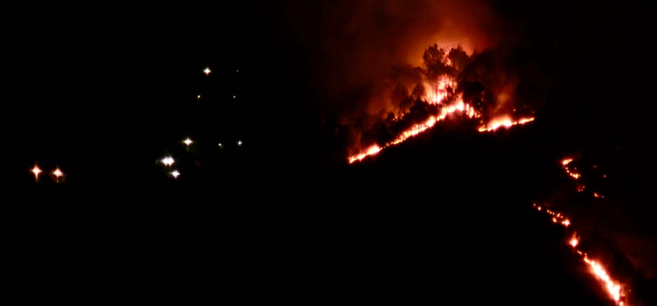 Himachal Forest Fire