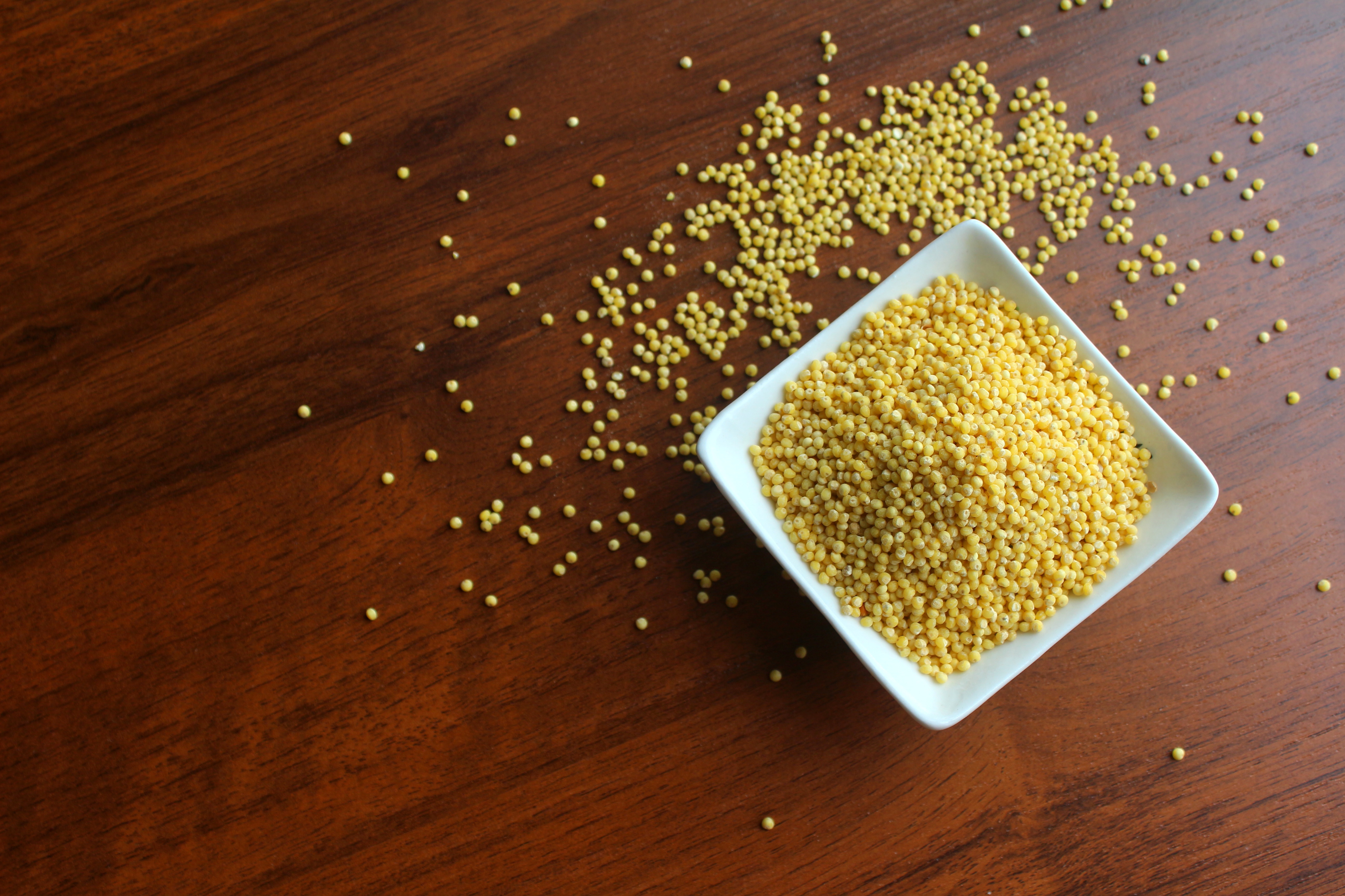 foxtail millet