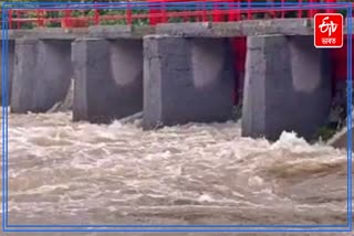 Flood in Kaziranga National Park