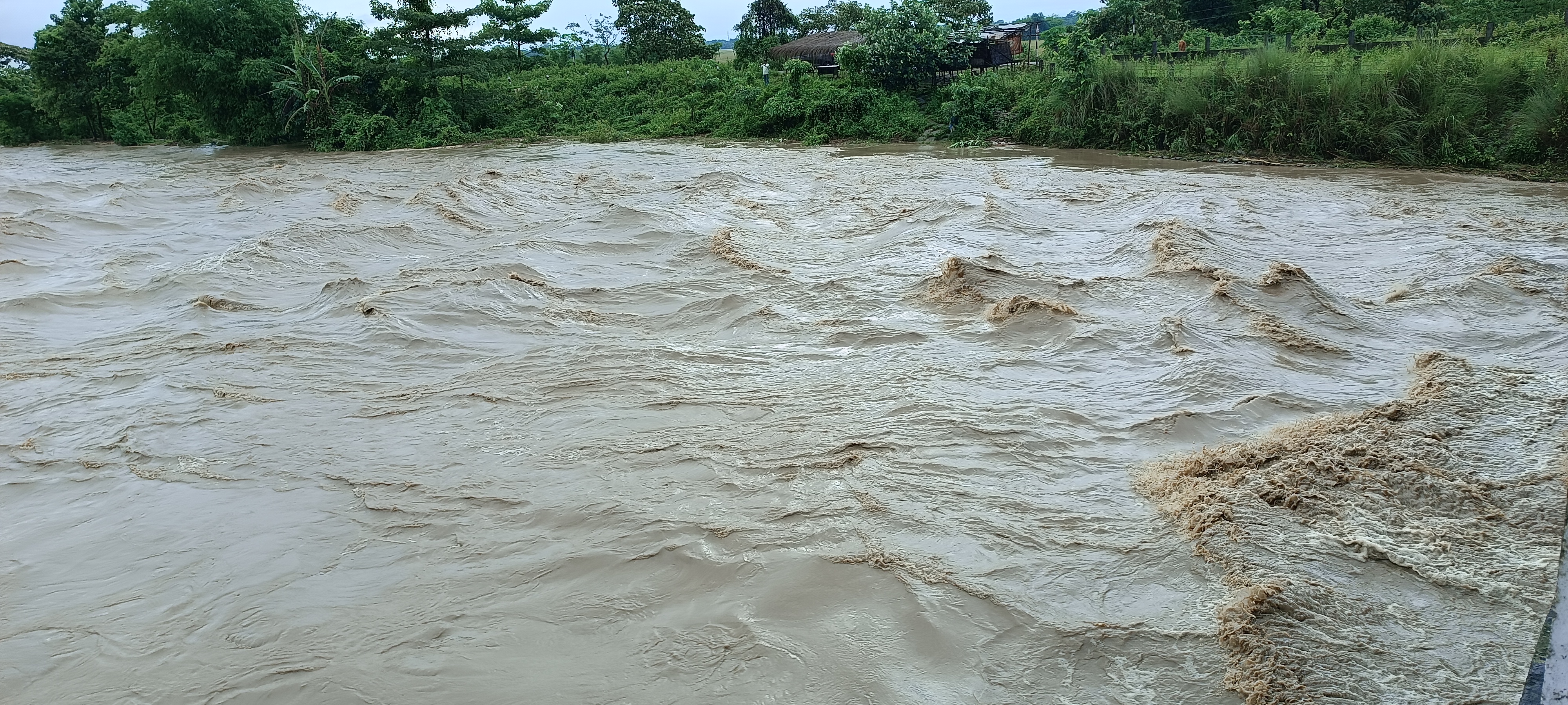 Assam Flood 2025