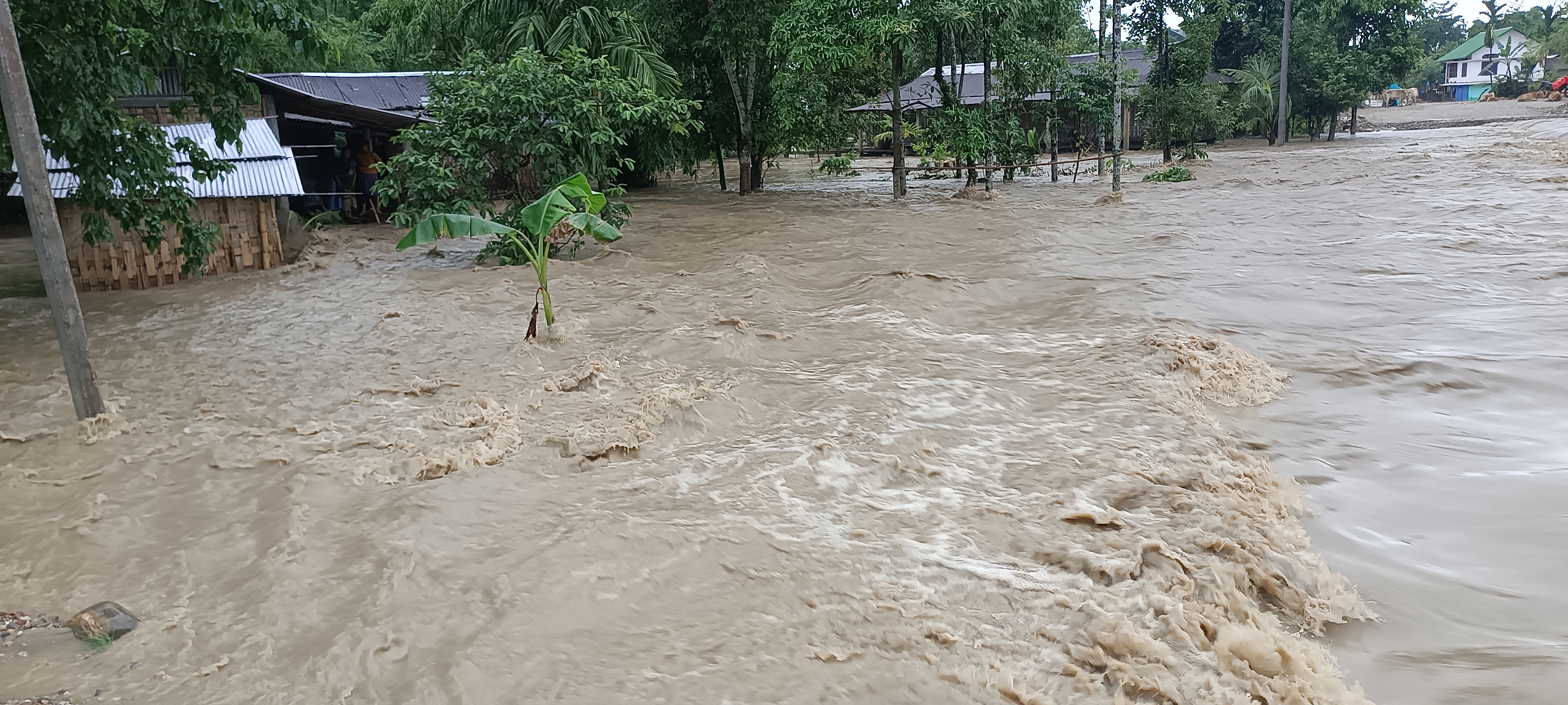 Assam Flood 2025