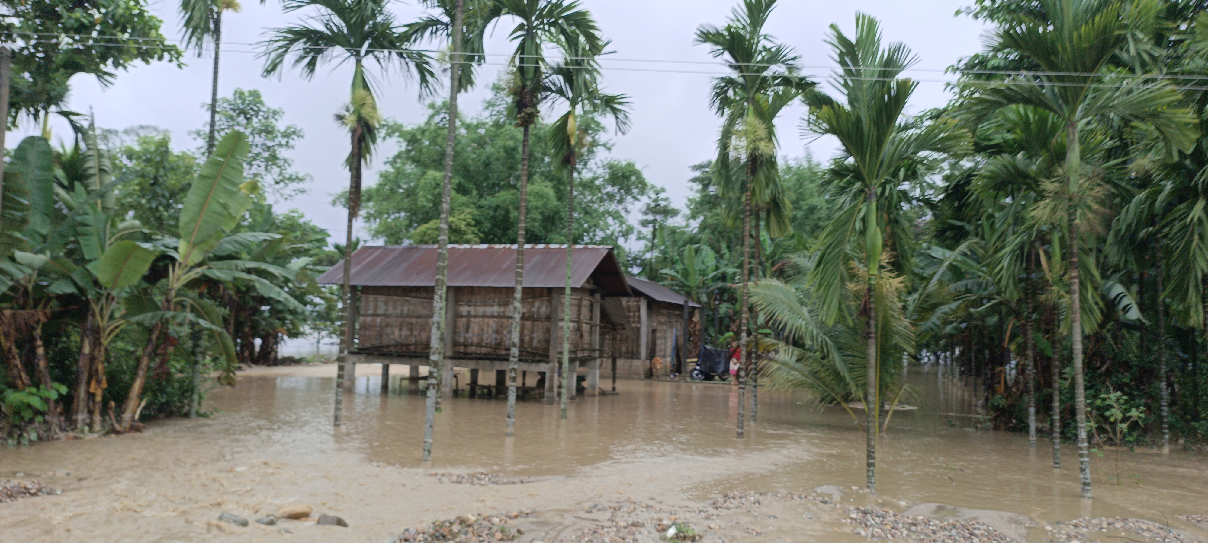 Assam Flood 2025