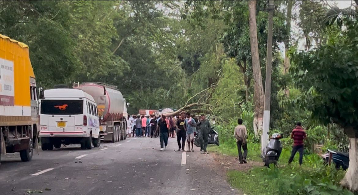 Kaziranga National Park